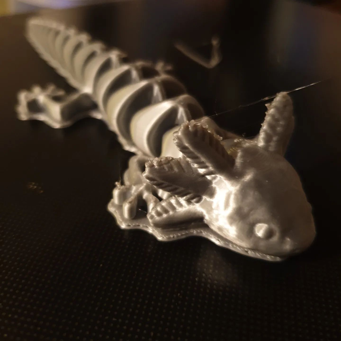 Axolotl ❤️