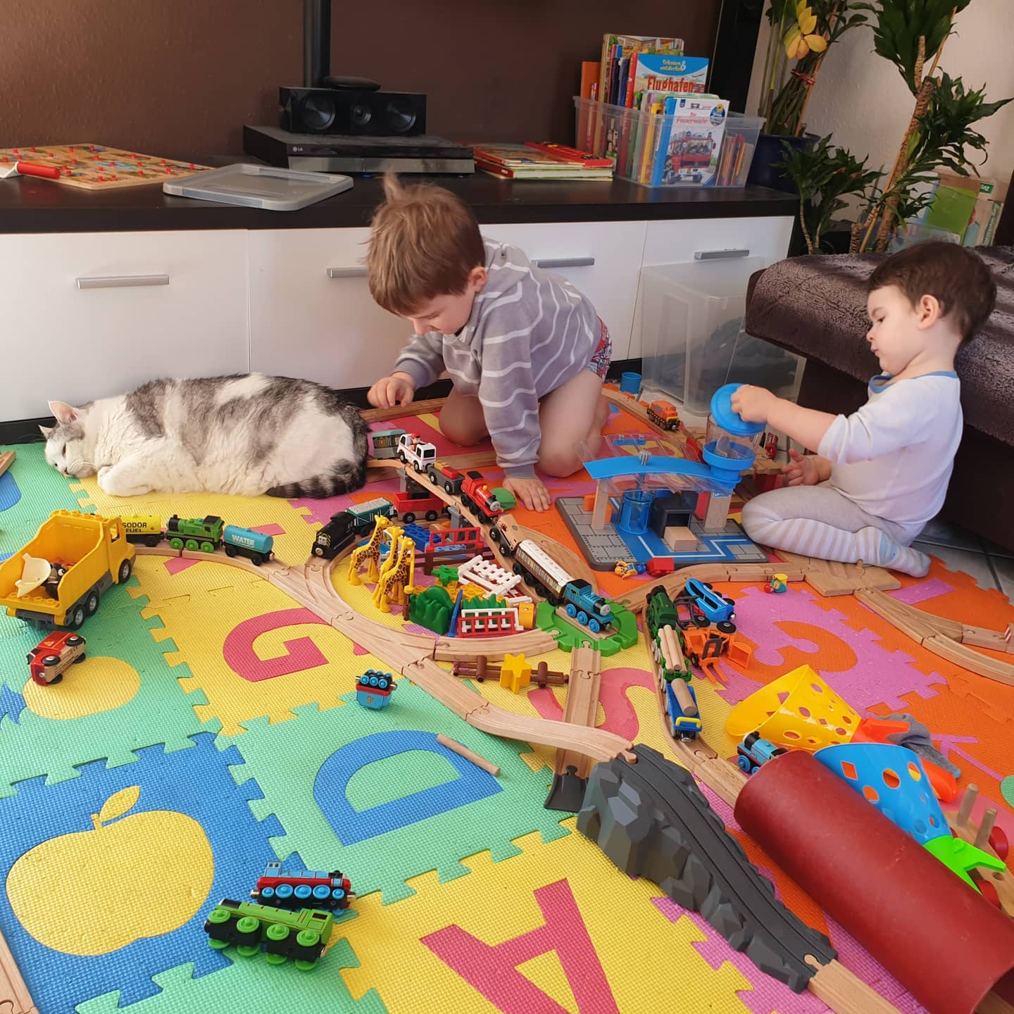 Der Katze geht, was die Kinder da machen, ziemlich am Arsch vorbei.

#kidsplay #cats #kidsncats #coronaplaytime #holzeisenbahn #toys