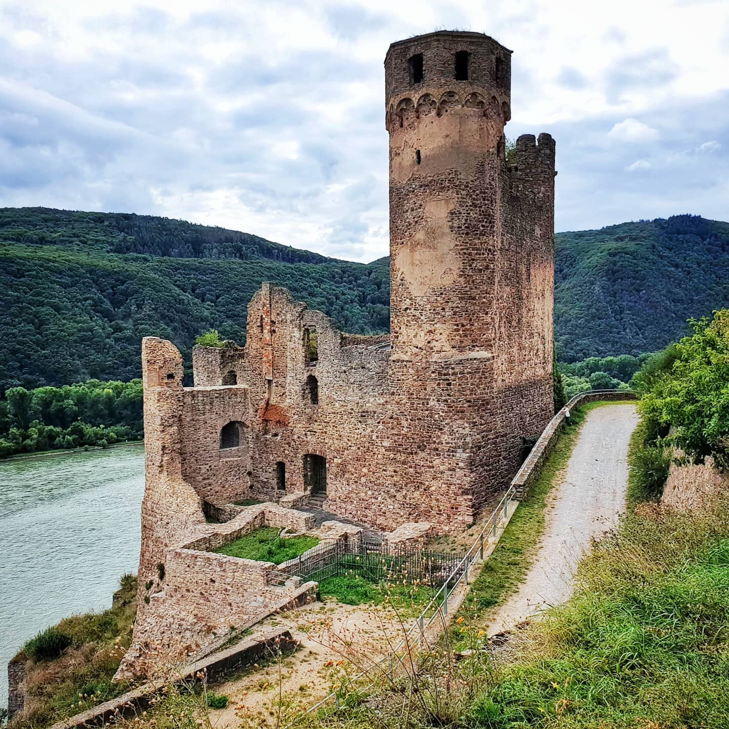 Burg Ehrenfels Rüdesheim
