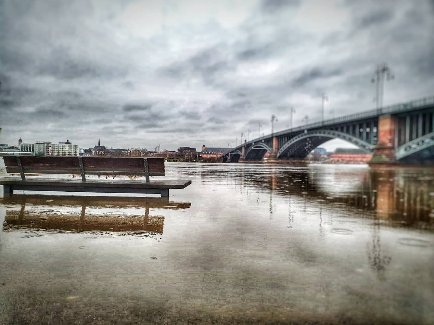 Rheinhochwasser, Foto by @madbuscha