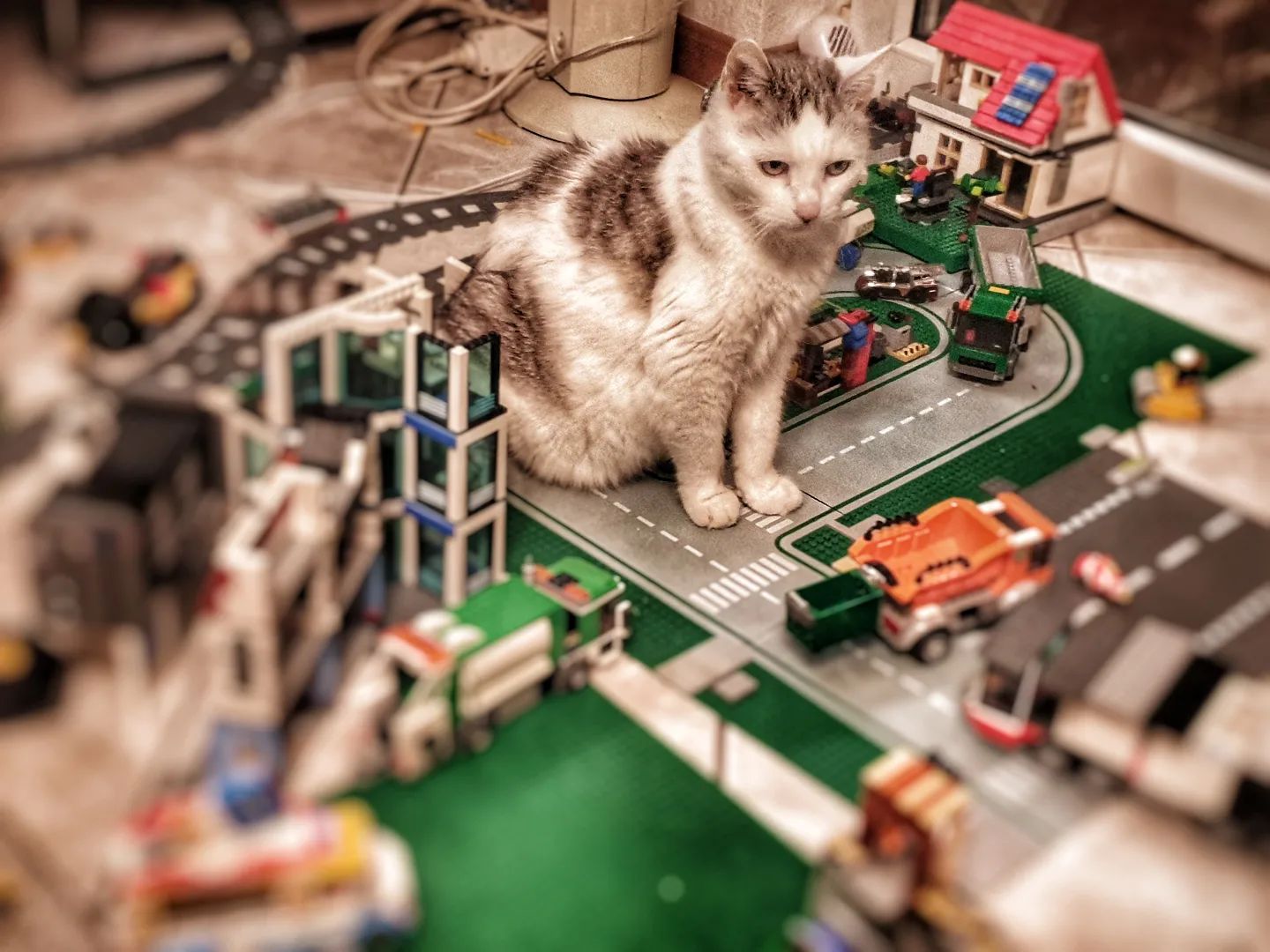 Catzilla